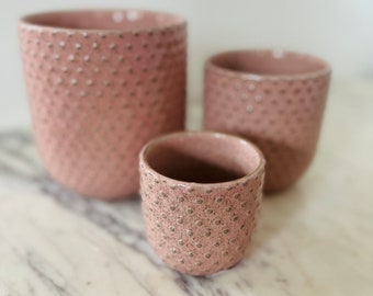 Parisian Pot - Blush Planter - Pots That Fit 3” or 4” or 5” Plants