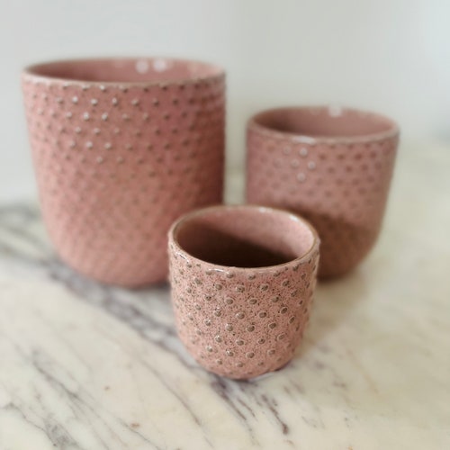 Parisian Pot - Blush Planter - Pots That Fit 3” or 4” or 5” Plants