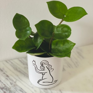 May include: A small, white ceramic plant pot featuring a black line drawing of a woman holding an apple. The pot contains a green plant with large, rounded leaves. The pot is sitting on a marble surface.