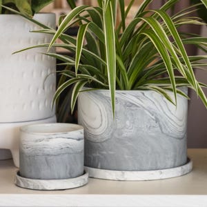 May include: Three decorative planters with plants. The planters are gray with a white marble swirl design. The plants have long green leaves with white stripes. One planter is small, and two are larger.
