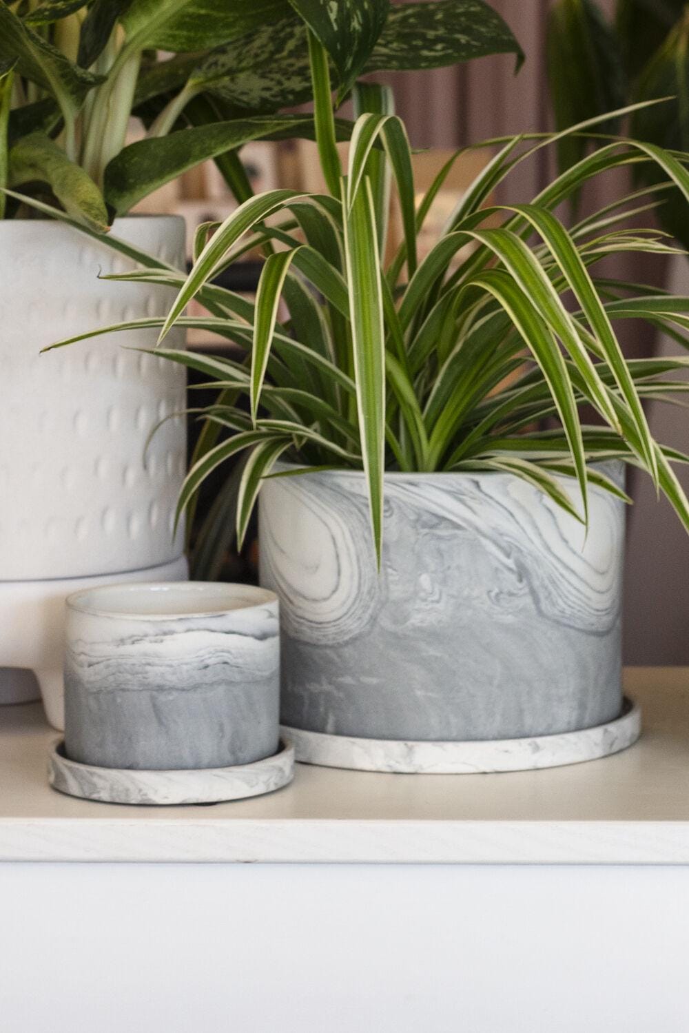 Marble Planter - Minimalist Decor - Scandinavian Decor - Ceramic Pot for Houseplants - Fits up to 4" Plants