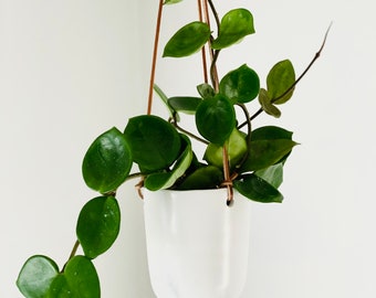 Ezra Planter - Minimalist Decor - Leather Rope - Ceramic Hanging Planter