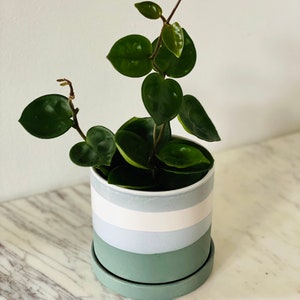 Conrad Pot - Saucer Pot - 4” Planter
