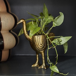 May include: A gold-colored ostrich-shaped planter filled with green leafy plants. The planter has a detailed design and is placed on a dark surface. A decorative vase with black and beige stripes is in the background.