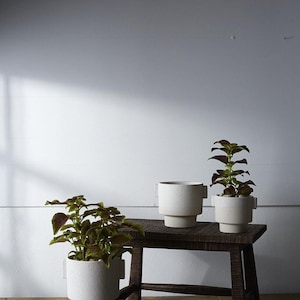 May include: Three white textured ceramic planters with plants on a dark wooden stool. The plants have green and burgundy leaves. Books are stacked below the stool. The background is a white wall.