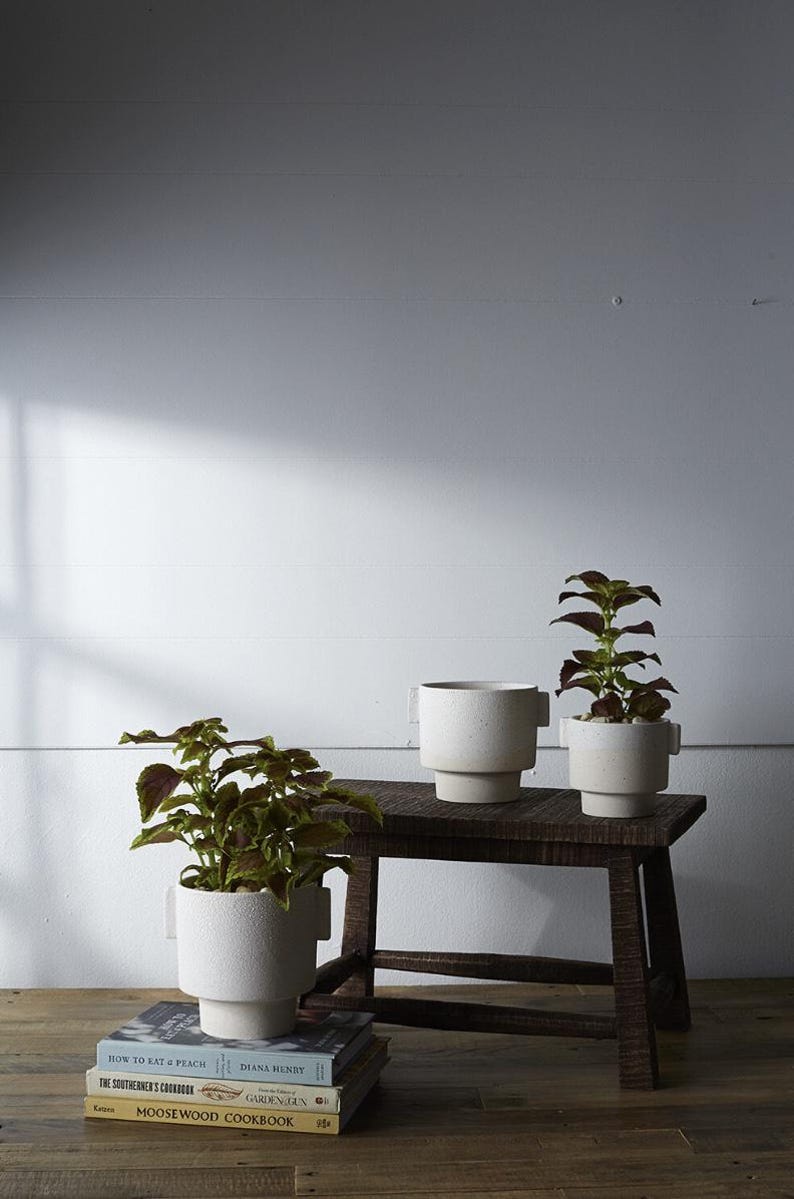 Puede incluir: Tres macetas de cer&aacute;mica blanca texturizada con plantas sobre un taburete de madera oscura. Las plantas tienen hojas verdes y burdeos. Libros apilados debajo. El fondo es una pared blanca.