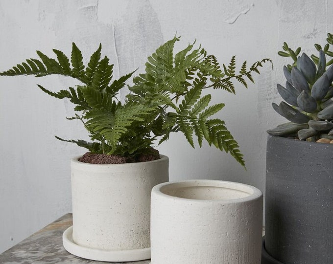 White Embossed Beaded Ceramic Planter