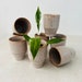 see more listings in the Pots + Planters section