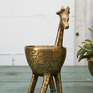 May include: A brass-colored giraffe planter. The giraffe's head and neck extend upwards from a bowl-shaped body with a textured pattern. The planter has three legs and is designed to hold small plants or succulents. The overall design is decorative.