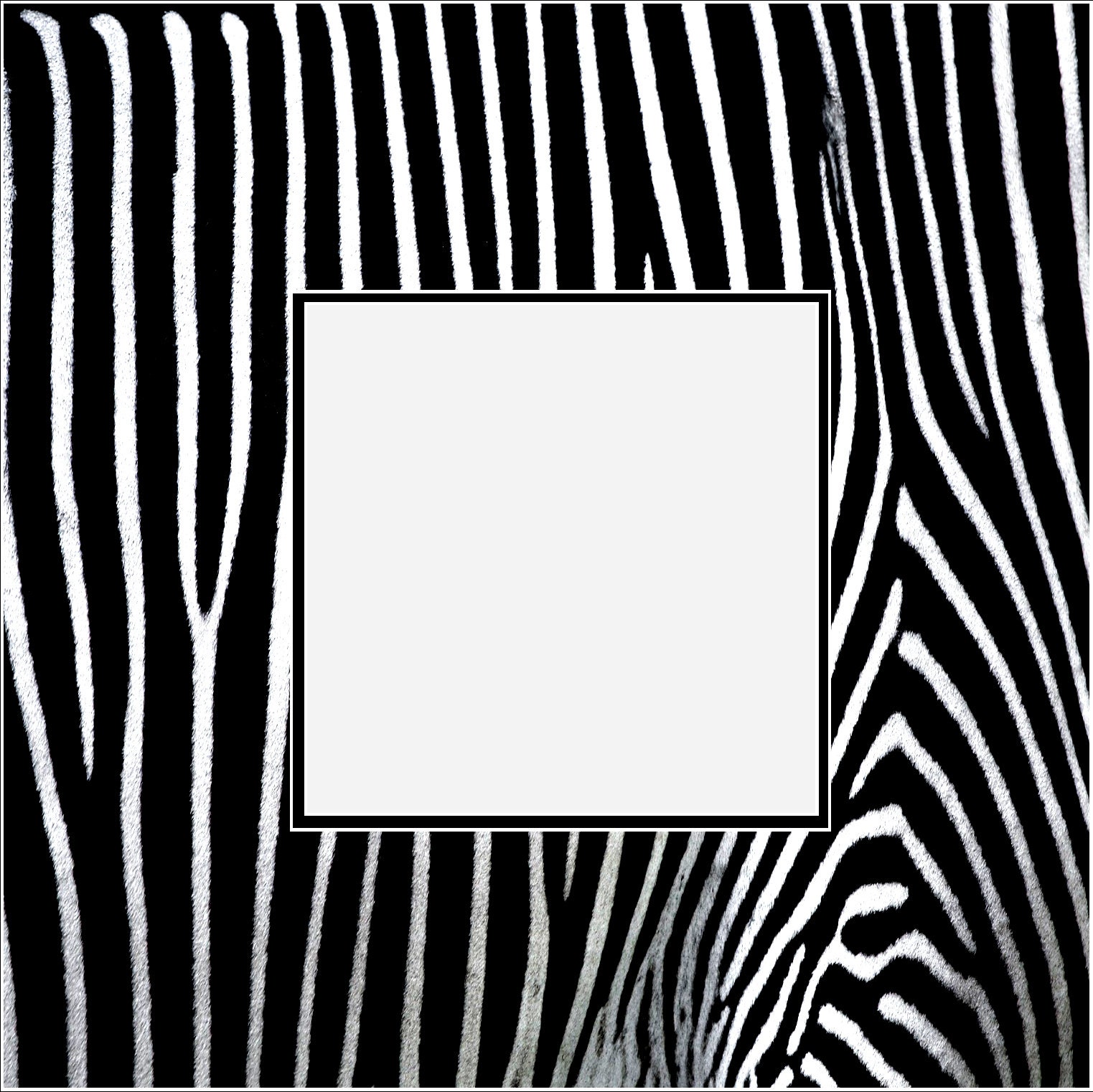 Zebra Printed Double Layer Photo Mat - Etsy, image size:1523x1522