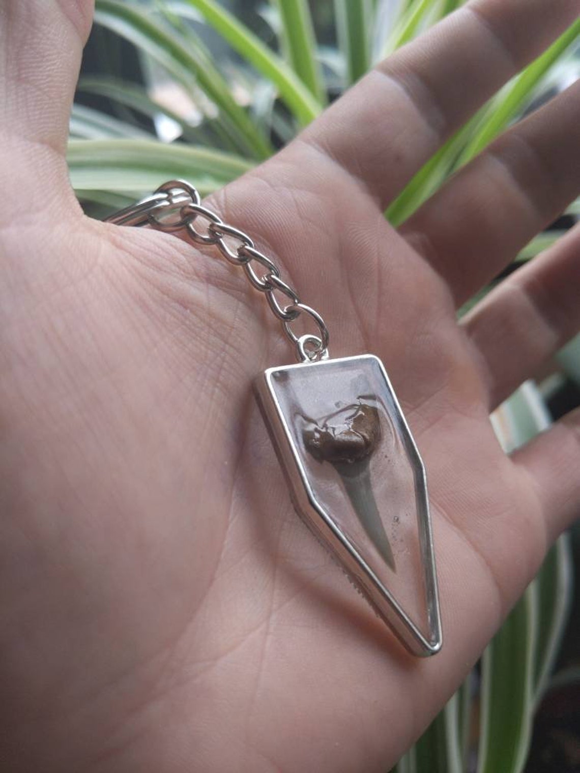 Real Sharks tooth keychain preserved in resin Etsy