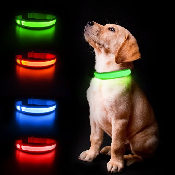 Third Kind® Lighted Dog Collar LED Rechargeable Make SAFETY FUN. High quality durable pet collar with lights to keep your pup safer.