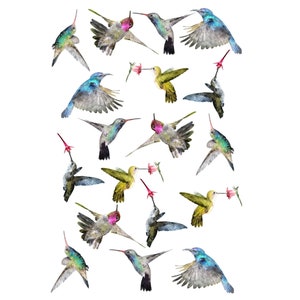 Decals Set of 18 mini  2" Watercolour colourful Hummingbird Decals watercolor wall stickers/art transfers Matt finish