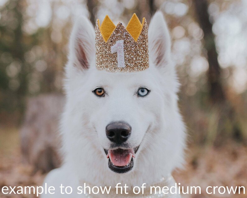 Birthday for Dogs Dog Birthday Hat Pet Birthday Crown Royal Dog Birthday Dog Crown Pet Birthday Party Hat Dog Lover Gift