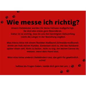 May include: Red and white graphic with black paw prints and the text "Wie messe ich richtig?"  The text explains how to measure a dog's neck for a collar.
