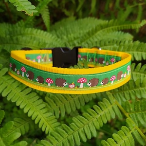 Collar &quot;Hedgehog family&quot;, dog collar,collar dog