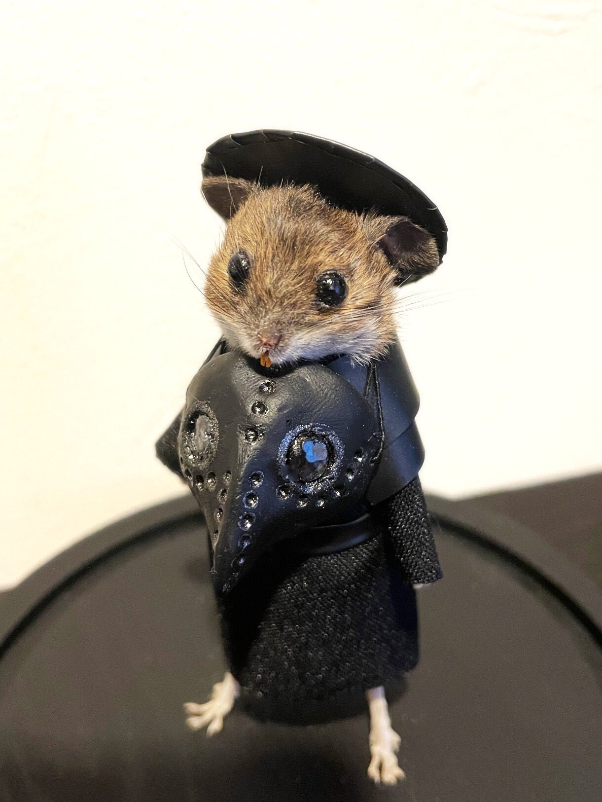 Glass Dome Taxidermy Mouse Plague Doctor Black Death | Etsy