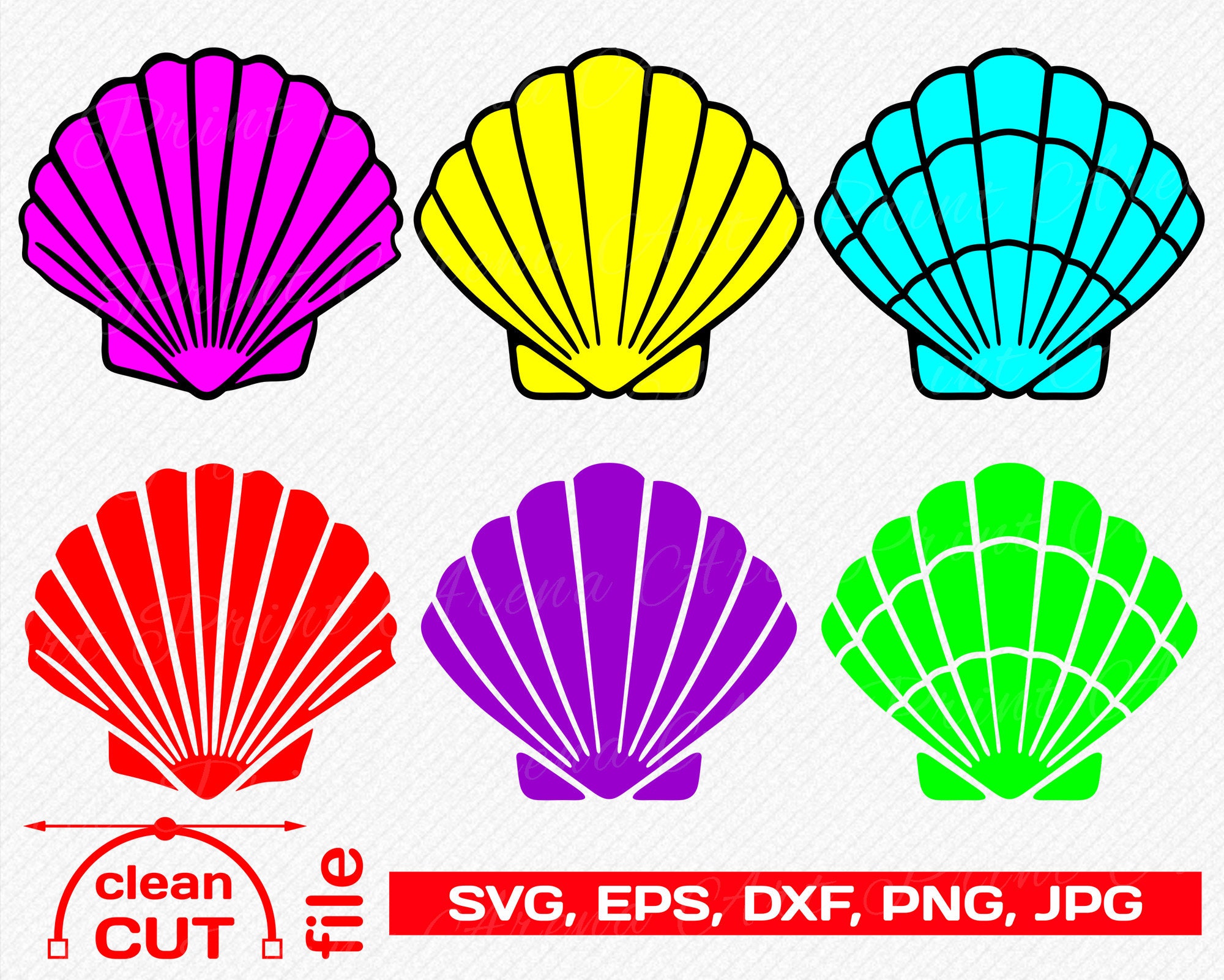 Download Mermaid Shell Svg Vector Cutting And Clipart Files Etsy