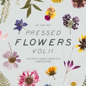 Colección de herbario digital de flores y hierbas secas prensadas Vol2, PNG botánico, flores digitales, PNG de flores prensadas, PNG de hierbas, clipart de flores