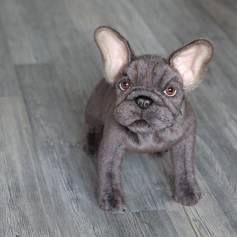 Stuffed gray French bulldog puppy 13 inch Soft sculpture | Etsy