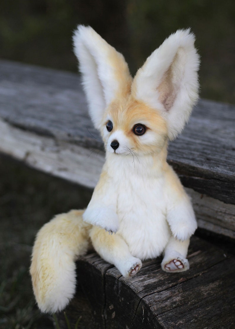 Collectible stuffed plush Fox Fennec realistic art doll | Etsy