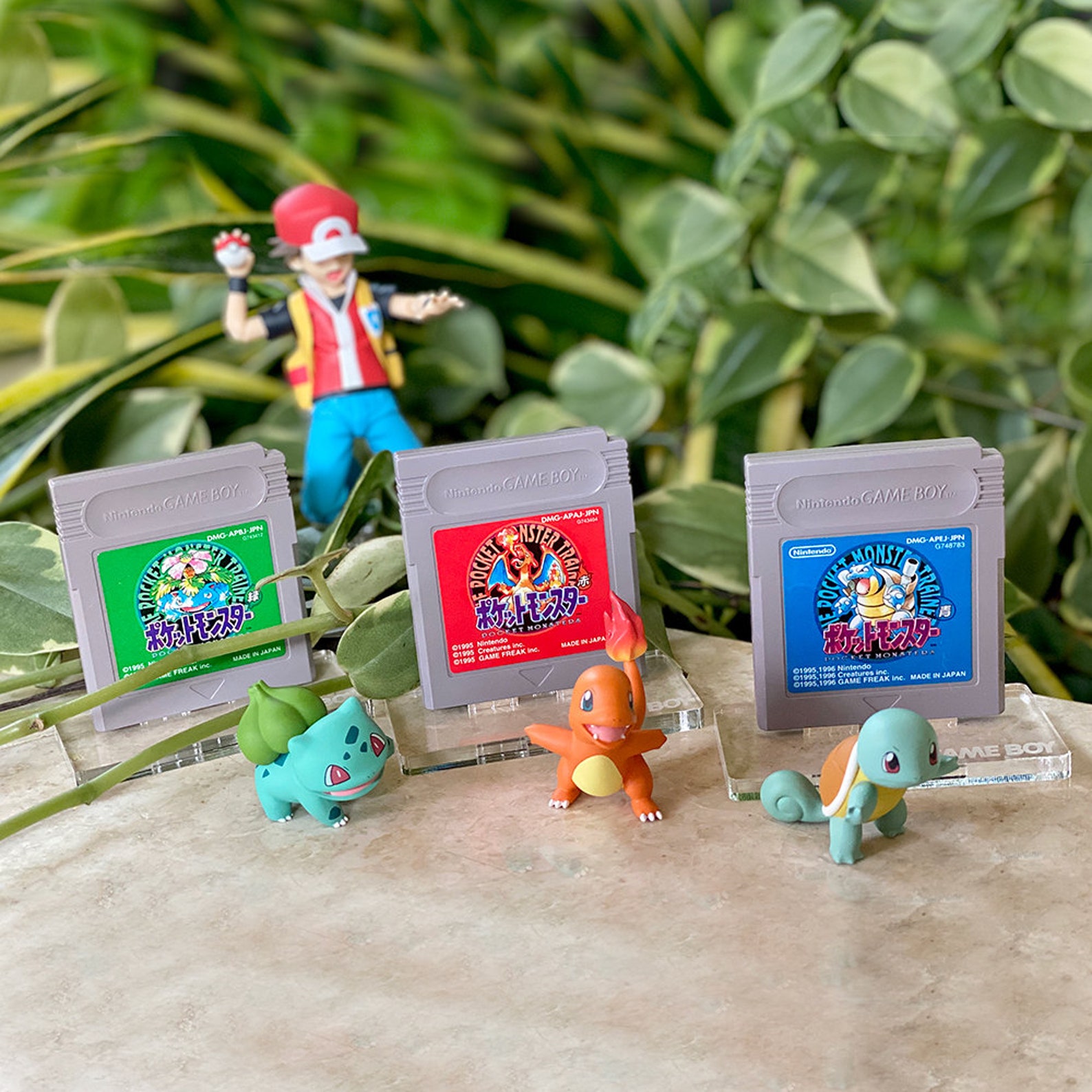 Game Boy Color Cartridge Display Etsy