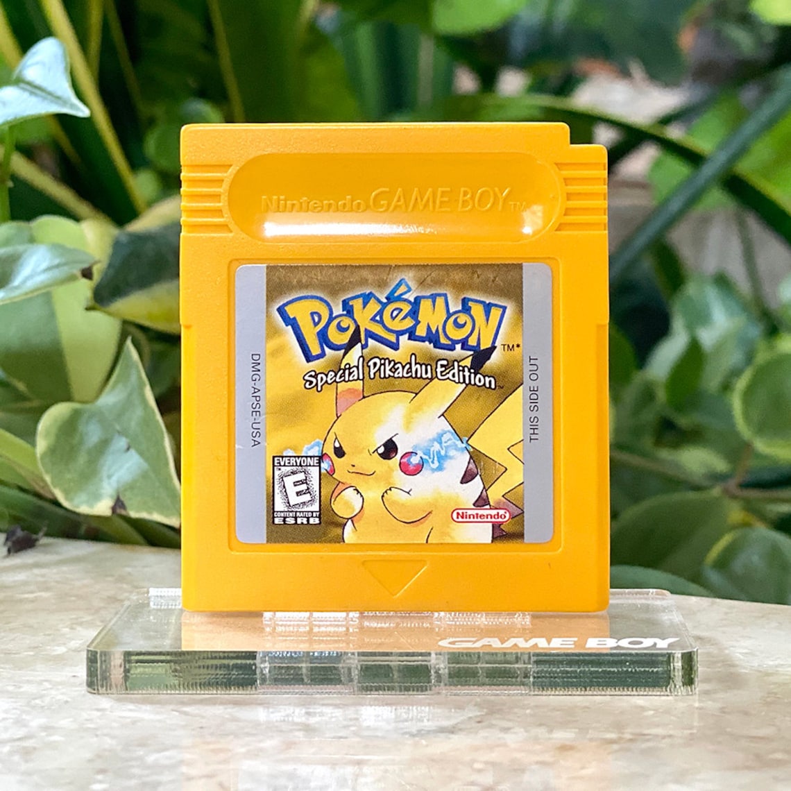 Game Boy Color Cartridge Display Etsy