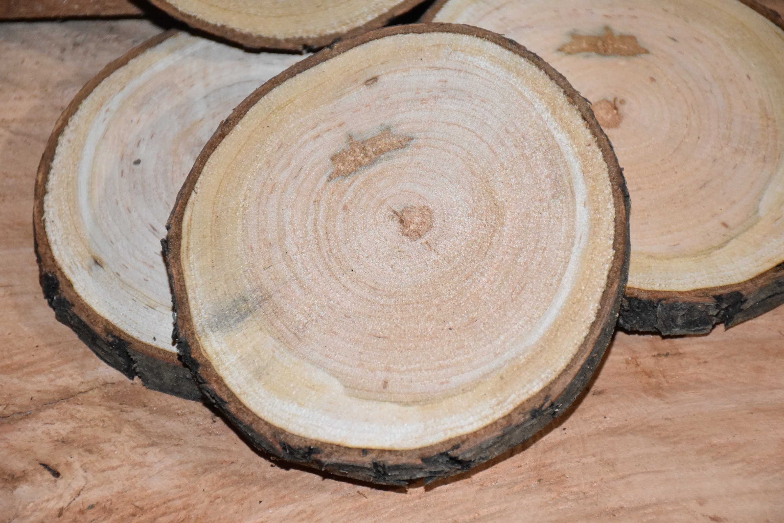 4 Cherry Tree Rounds / Slices 4 to 5 Rustic Decor Wood Etsy