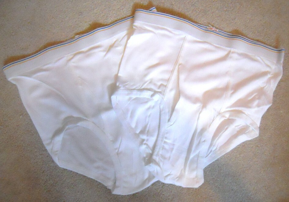 2 Pairs Vintage Fruit of the Loom USA Blue Gold Stripe Briefs Fly Front