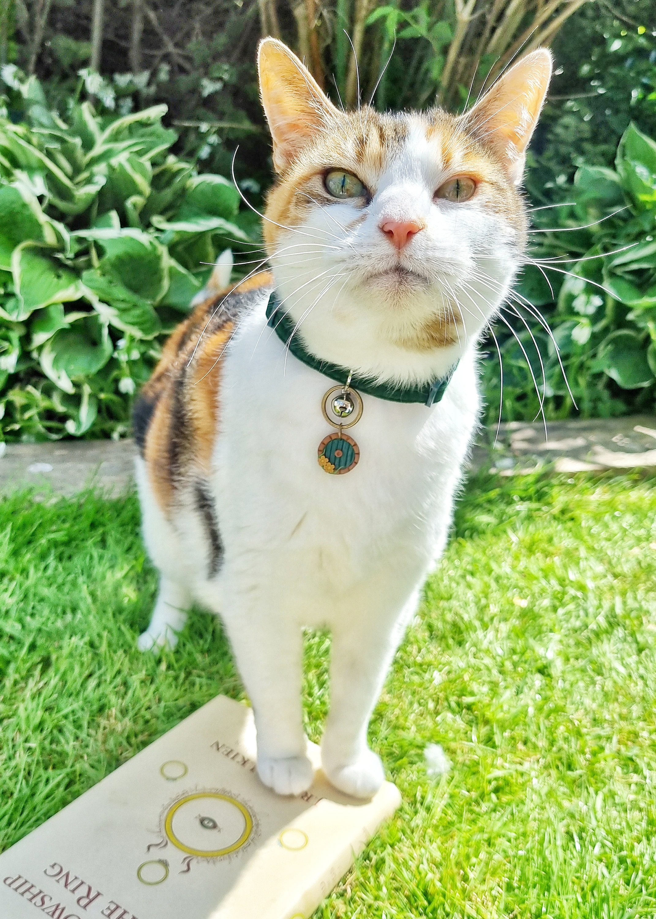 Lord of the rings cat collar outlet