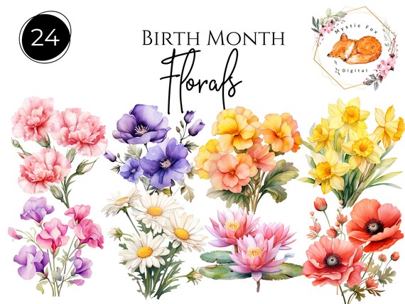 Birthflower Clipart, Birth Month Flowers, Watercolor, Birth Month Clipart, Flower png Bundle, transparent PNG flowers, Commercial Use
