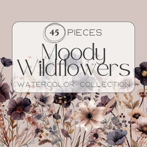 Moody Wildflower Clipart | moody aesthetic, wildflower png, wedding clipart, wildflower wreath, transparent PNGs, commercial use