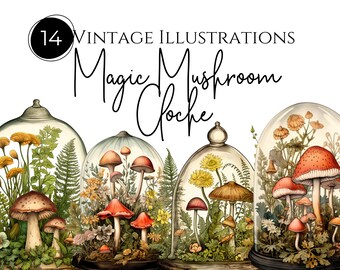 Magical Mushroom Clipart, Mushroom Cloche, Vintage Illustration, Forest Clipart, Toadstool Clipart, 14 Clipart Bundle, Transparent pngs