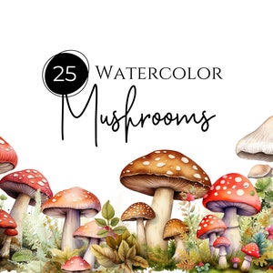 Clipart champignon aquarelle, lot de 25 cliparts, fichiers PNG transparents individuels, clipart à usage Commercial