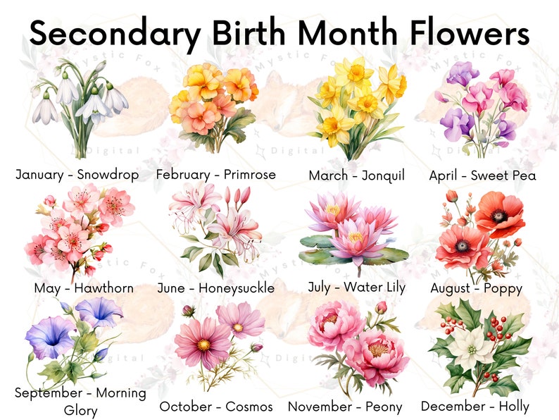 May include: A chart of secondary birth month flowers with watercolor illustrations of each flower. The chart lists the months of the year and the corresponding flower, such as January - Snowdrop, February - Primrose, March - Jonquil, April - Sweet Pea, May - Hawthorn, June - Honeysuckle, July - Water Lily, August - Poppy, September - Morning Glory, October - Cosmos, November - Peony, and December - Holly.