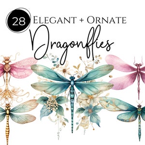 Watercolor Dragonflies Clipart | Dragonfly Art, Painted Dragonfly Clipart, Transparent PNG, Commercial Use Clipart