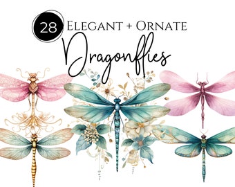 Watercolor Dragonflies Clipart | Dragonfly Art, Painted Dragonfly Clipart, Transparent PNG, Commercial Use Clipart