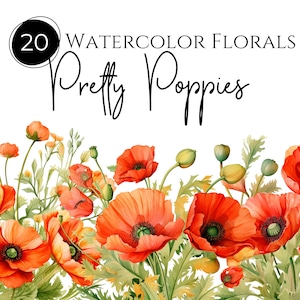 Mohnblume Blume Clipart, Clipart Mohnblume, Aquarell Mohnblumen, transparente png, kommerzielle Nutzung Clipart, herunterladbare Clip Art Bundle