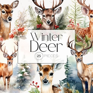 Christmas Deer | Rein Deer, Deer Watercolor Clipart, Watercolor Winter Deer, Winter png, Reindeer Clipart, transparent pngs, Commercial Use