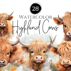 Highland Cow png, Cow Clipart, Aquarela Highland Cow, Floral Cow, Transparent png, clipart de uso comercial