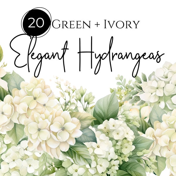 Watercolor Hydrangea Floral Clipart, Elegant White and Green Hydrangeas, Watercolor Flowers, Transparent PNGs, Commercial Use Clipart