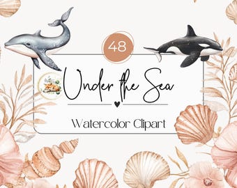 Sous la mer des cliparts | Clipart aquarelle sous la mer, clipart poisson mignon, clipart animal mignon océan, lot de cliparts océan, png transparent