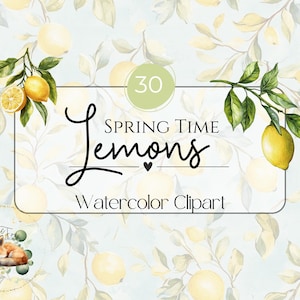 Może przedstawiać: Zestaw 30 grafik cytryn wiosennych w akwareli. Cytryny są żółte i zielone i są ułożone w kwiatowy wzór. Tekst "Spring Time Lemons Watercolor Clipart" jest napisany czarnym kolorem na białym tle.