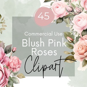 Aquarell Blush Rose Clipart, rosa Rose Clipart, rosa Rose Png, transparente PNGs, kommerzielle Nutzung Clipart, Hochzeit Clipart