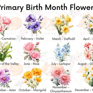 Birthflower Clipart, Birth Month Flowers, Watercolor, Birth Month Clipart, Flower png Bundle, transparent PNG flowers, Commercial Use image 3