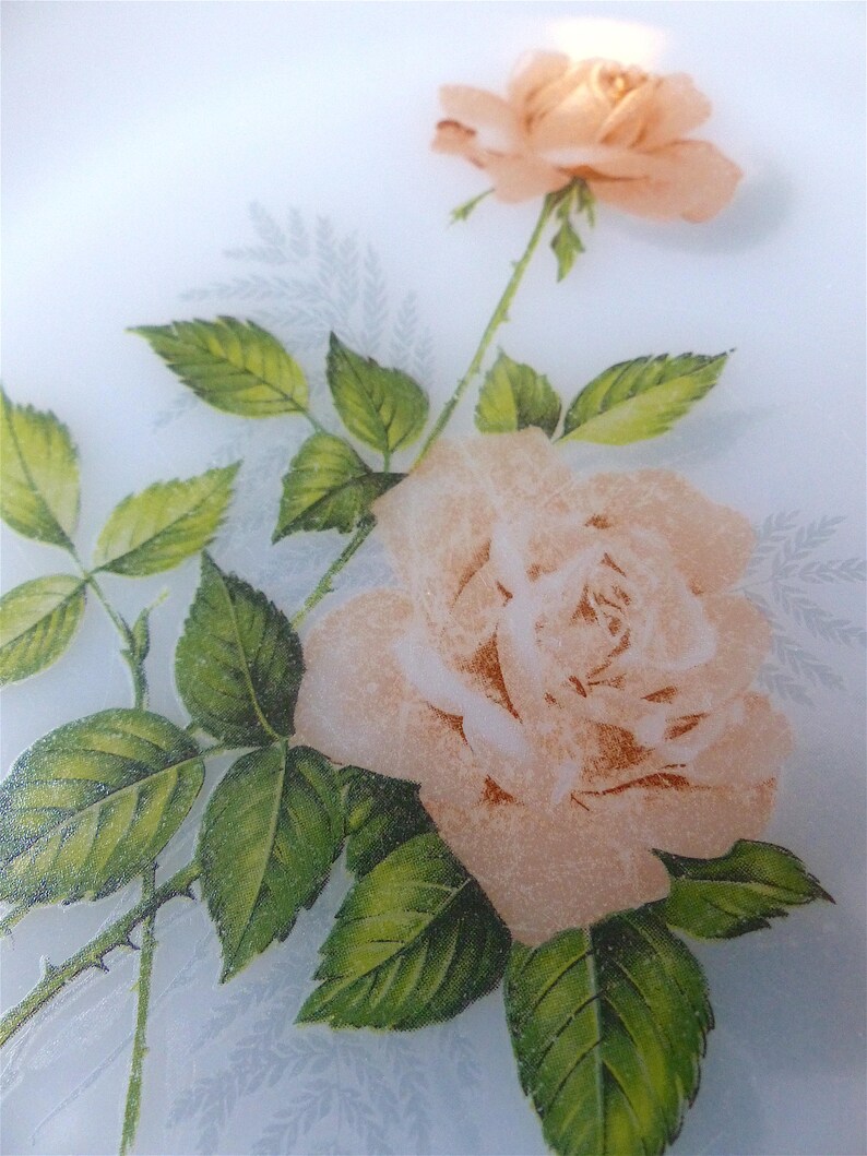 Lot De 6 Petites Assiettes Plates Vintage Arcopal France – Diamètre 19,5 Cm, Décor Floral, Verre