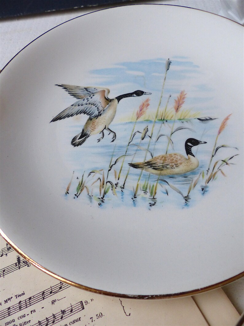 Vintage French 3 Ducks Rustic Kitchen Decor Shabby Flowers - Etsy