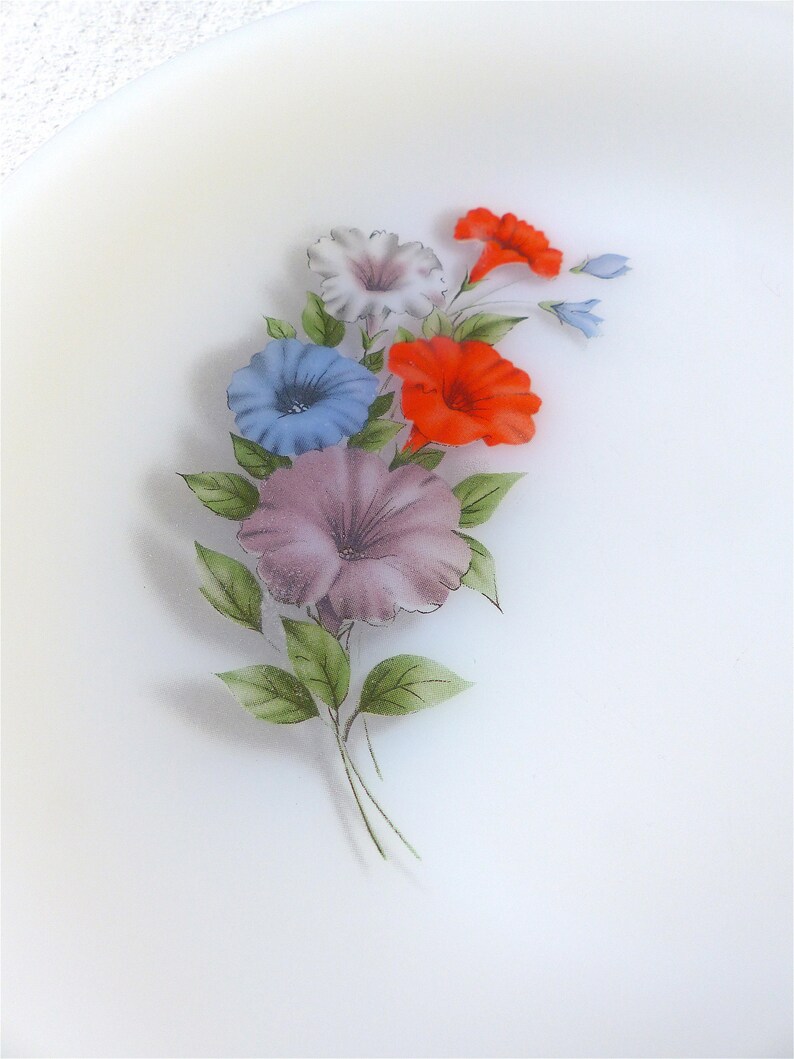 Lot De 5 Assiettes à Dessert Vintage Arcopal - Décor Fleurs Orange, Diamètre 19 Cm