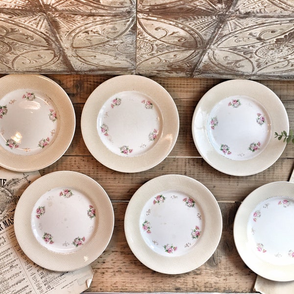 6 ASSIETTES plates SALINS FRANCE fleurs decor vaisselle vintage shabby decor cuisine campagne chic céramique