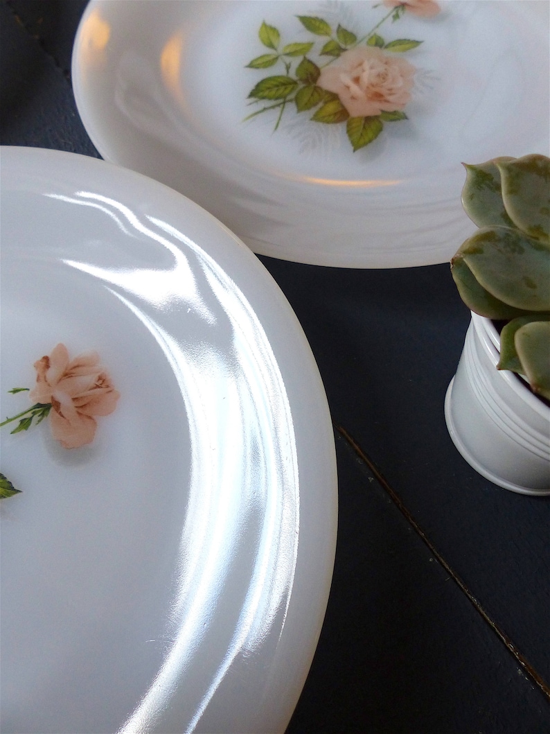Lot37 Of 6 Small Flat Plates Vintage Arcopal France D 19.5 Cm